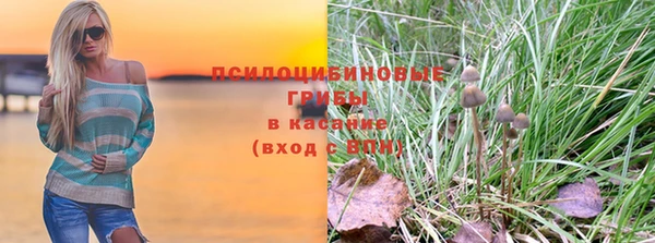 ALPHA-PVP Осинники