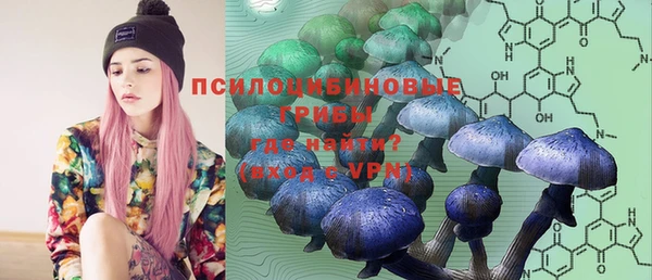 кокс Осташков