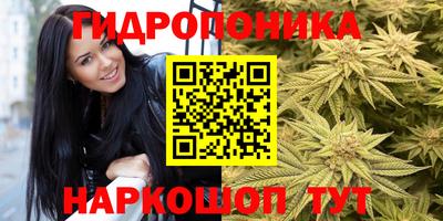 сатива Изобильный