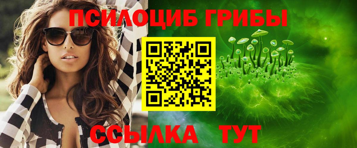 Таганрог  Псилоцибиновые грибы Psilocybine cubensis  Вход с VPN 